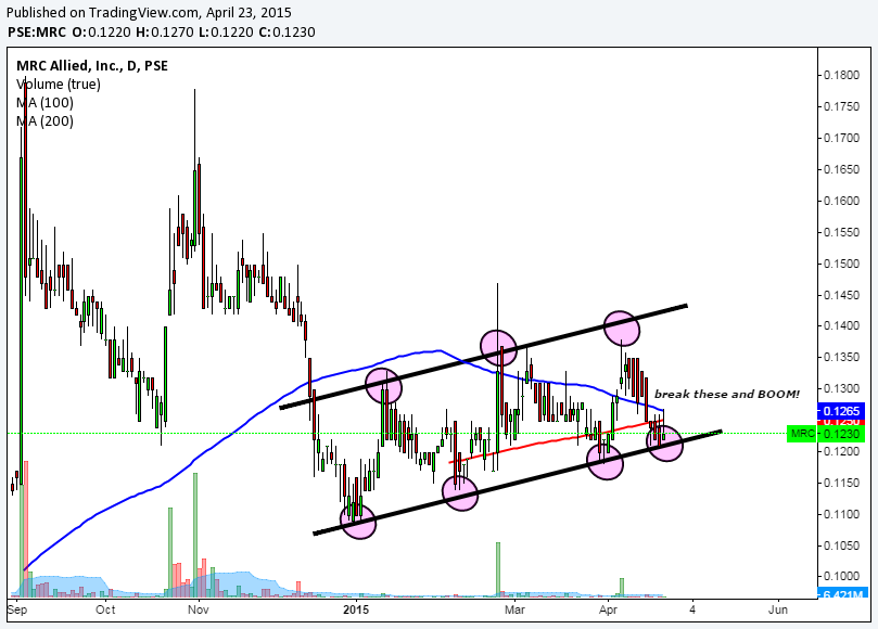 Mr.c forex